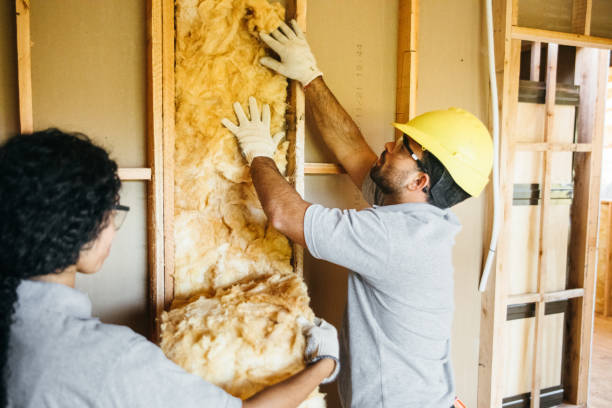 Types of Insulation We Offer in Placerville, CA